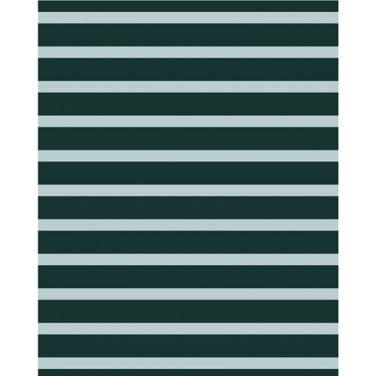 Baumwolljersey Streifen 100% BW in 4 tollen Farben